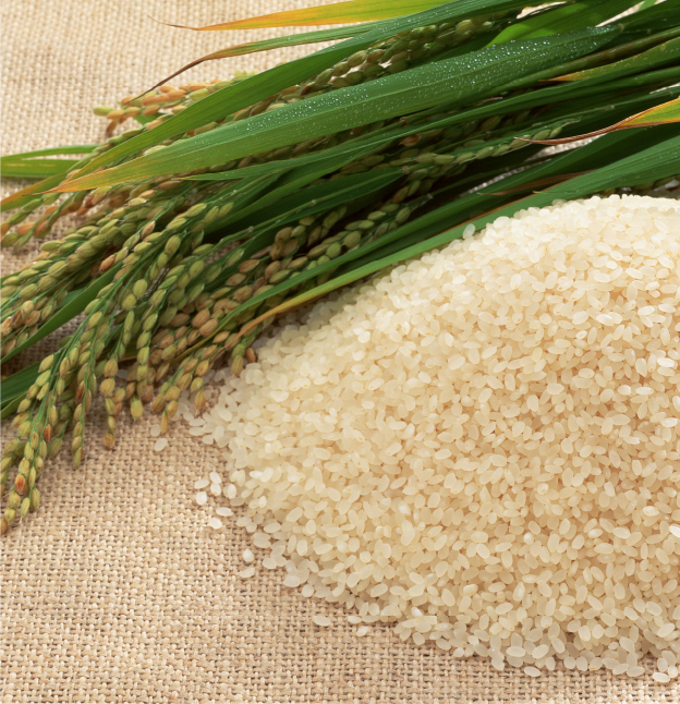 たかす タロファーム