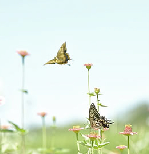 セーヴ・エナジー