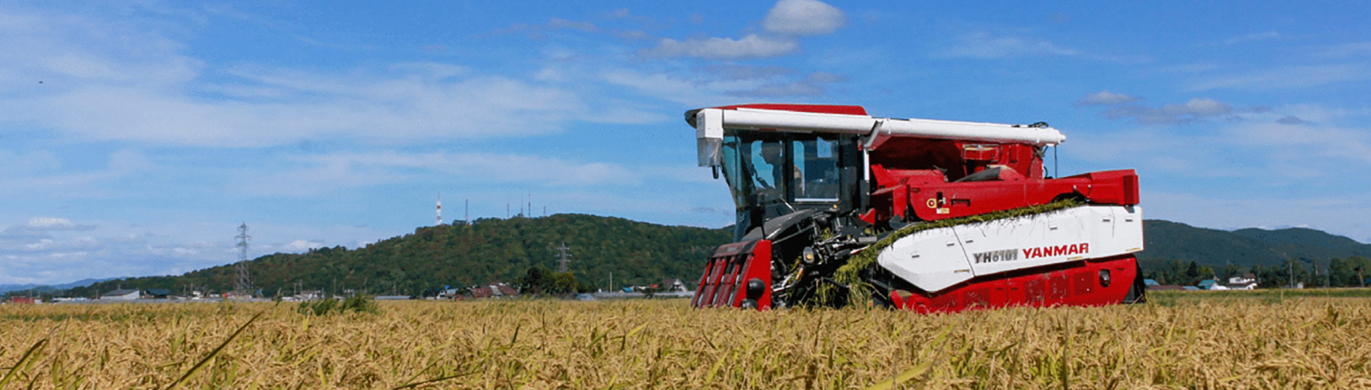 うけがわファーム